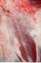 Photo Textures of RAW Beef Meat